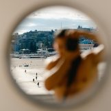 Reece - STNKS on SOL