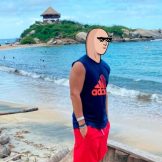 Yankee - STNKS on SOL